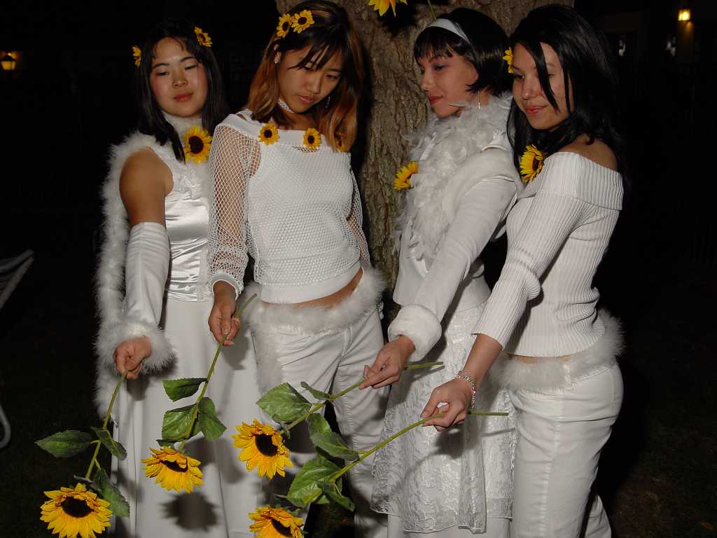 dsc03410 