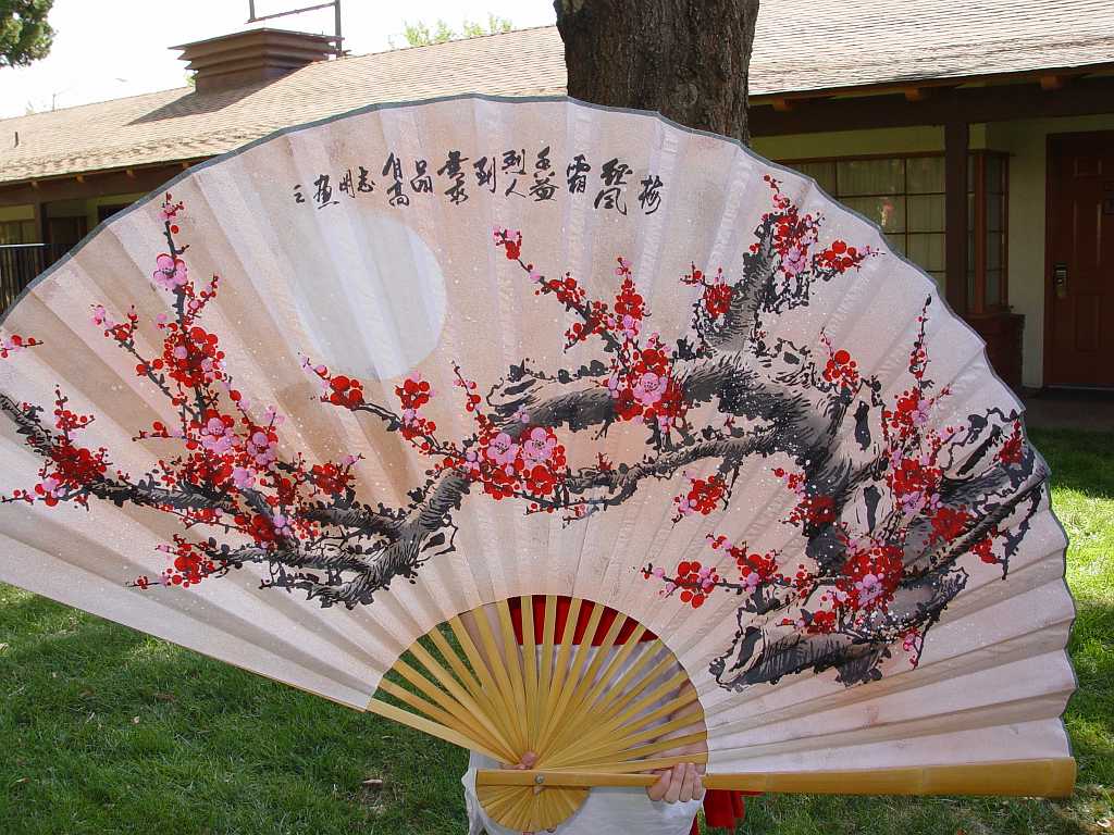 dsc03639 