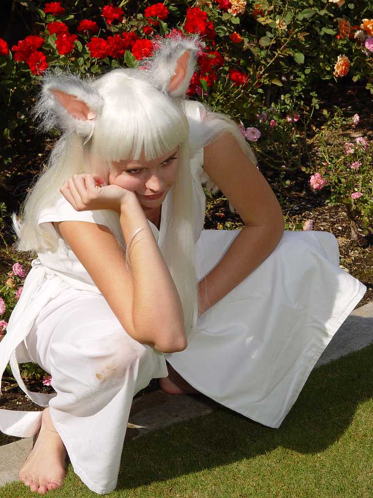 dsc08803 
