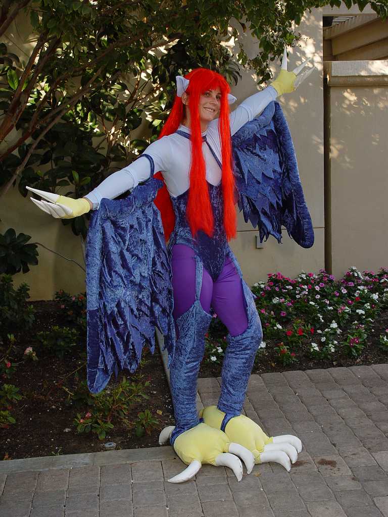 dsc08941 