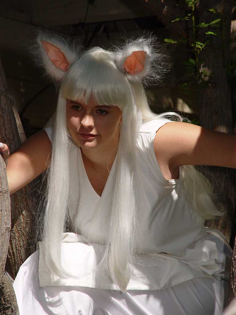 dsc00231 