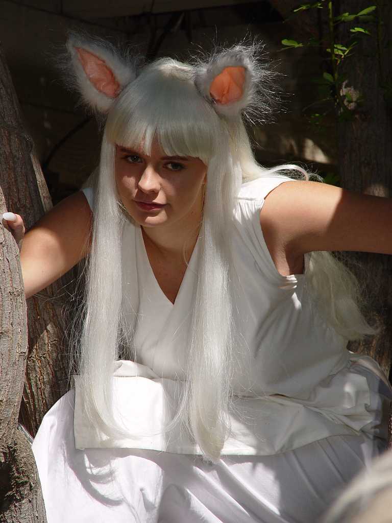 dsc00232 