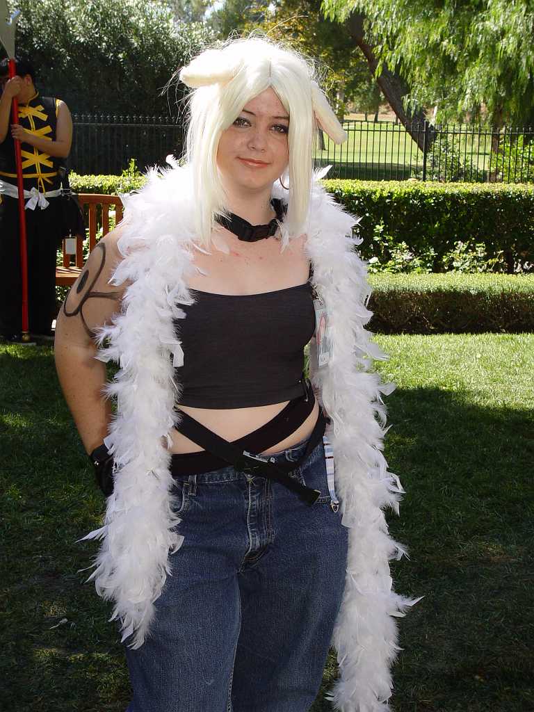 dsc00244 