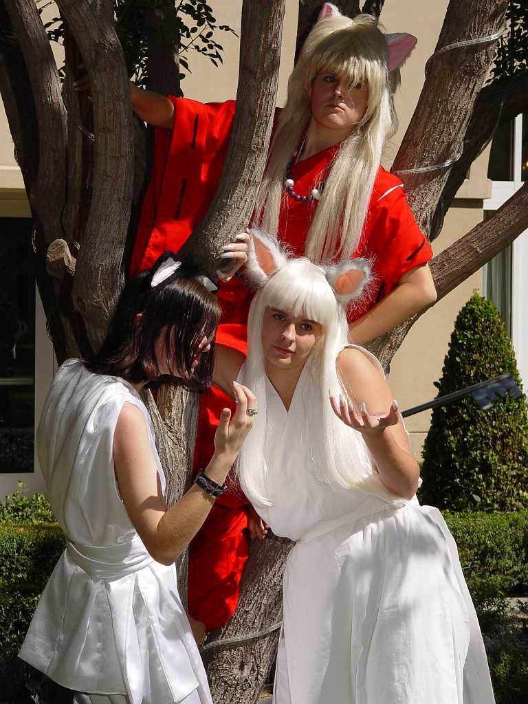 dsc00249 