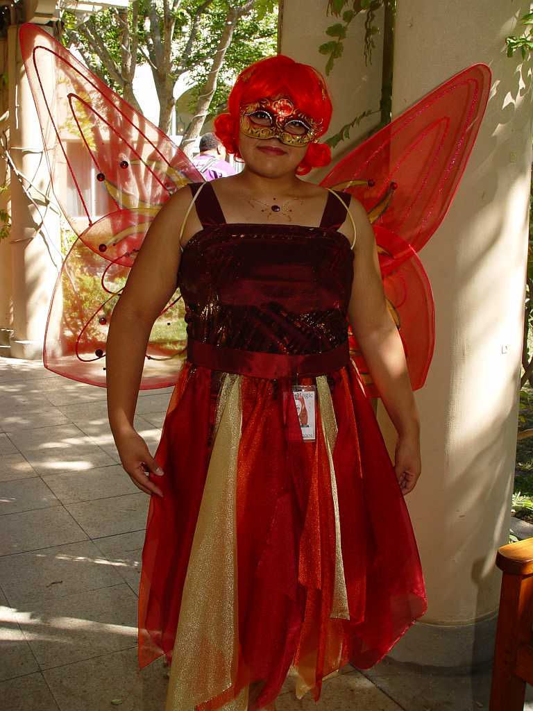 dsc00262 