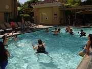 dsc00131 