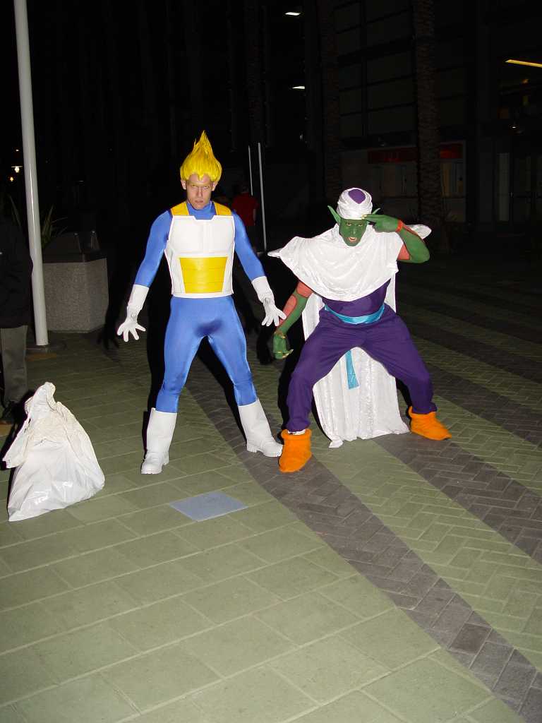 dsc03248 