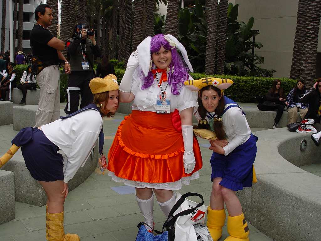 dsc03345 