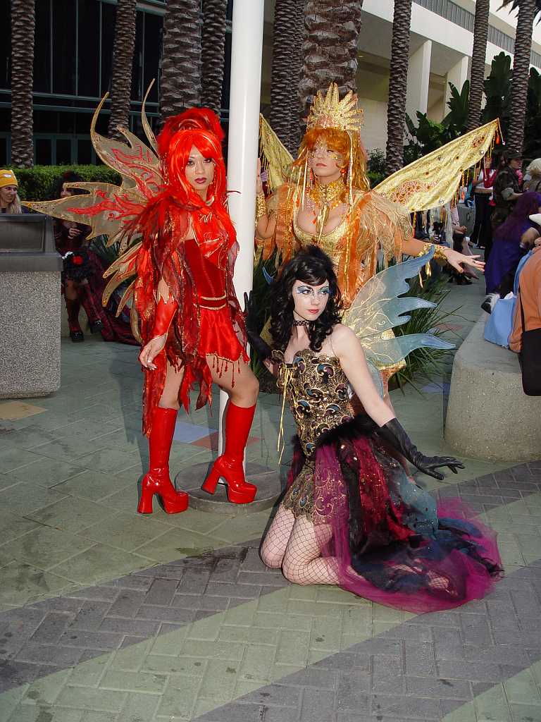 dsc04118 