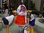 dsc03345 