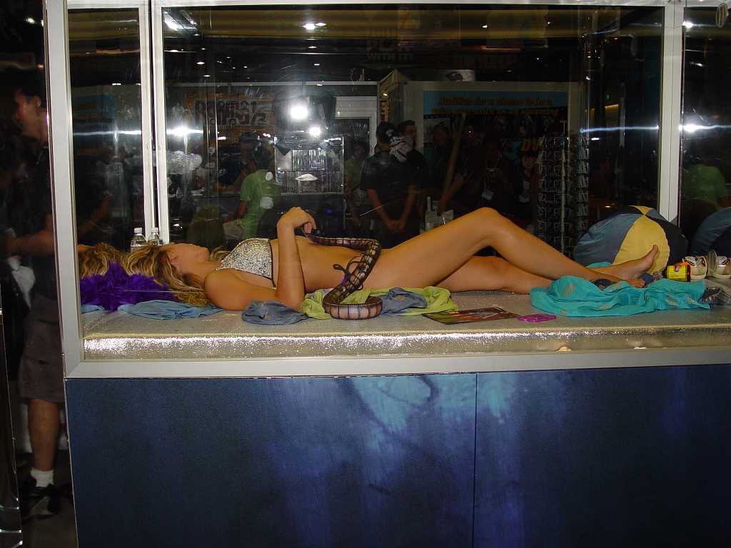 dsc06138 