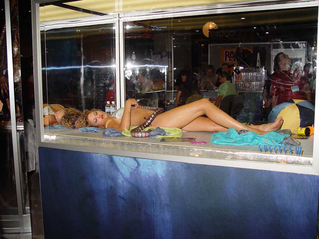 dsc06139 