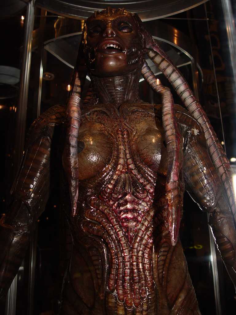 dsc06144 