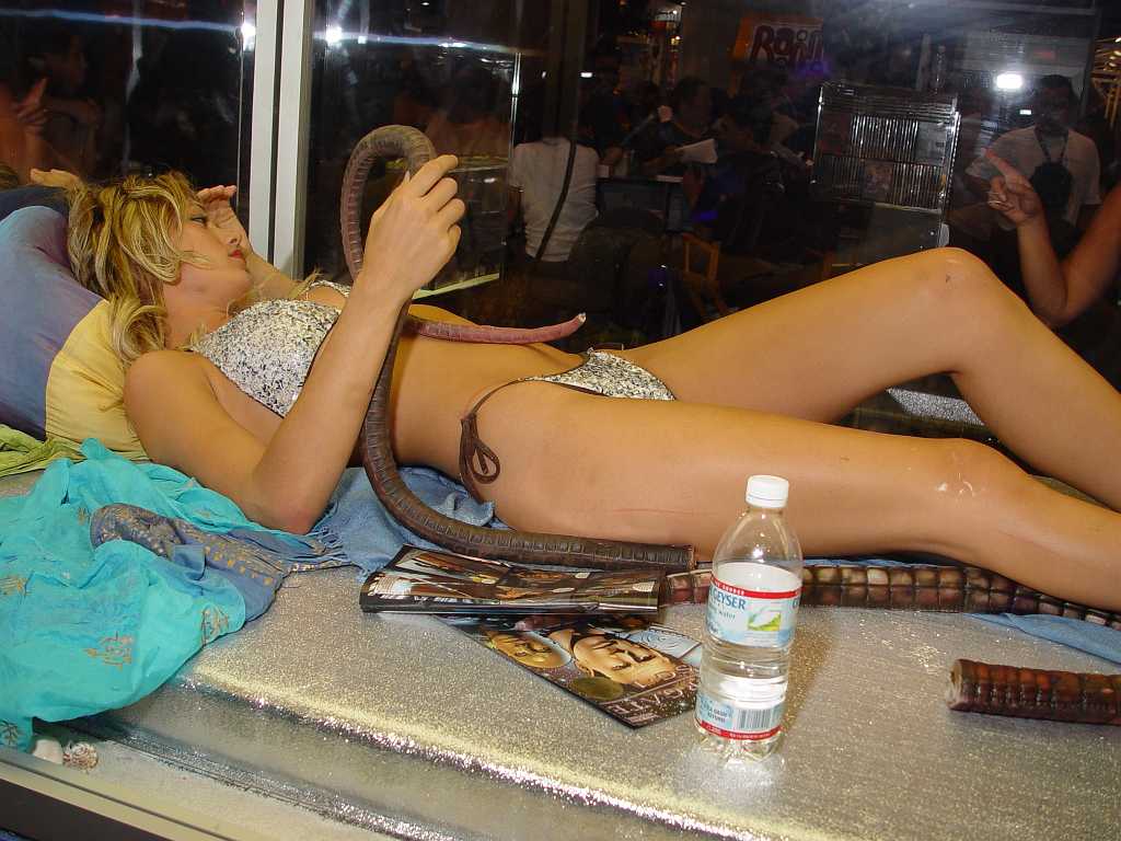 dsc06200 