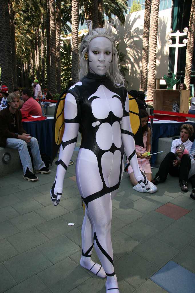 IMG_3641 