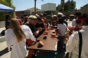IMG_0565 