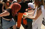 IMG_0596 
