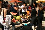 IMG_0646 