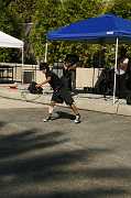 IMG_1046 