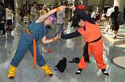 IMG_00324 