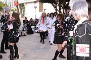 IMG_02390 