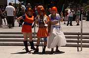 IMG_06961 