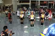 IMG_07075 