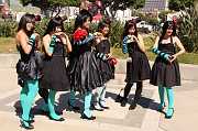 IMG_07357 