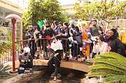 IMG_1880 