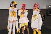 IMG_01938 