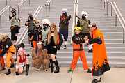 IMG_06129 