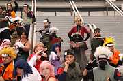 IMG_06305 