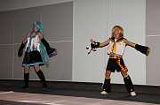 IMG_06807 