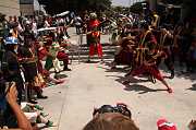 IMG_07458 