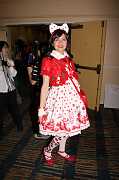 IMG_0916 