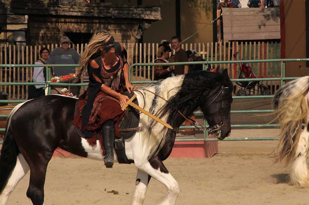 IMG_11610