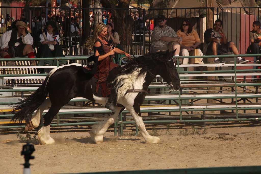 IMG_11685