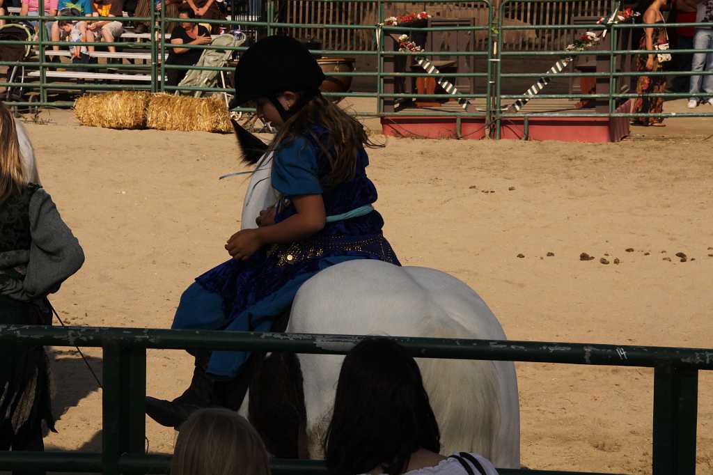 IMG_11780