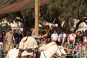 IMG_11601 
