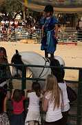 IMG_11762 