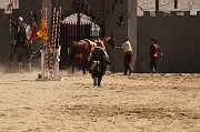 IMG_10967 