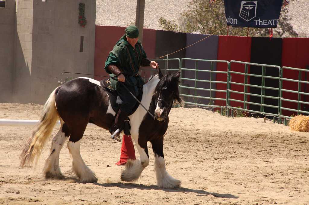 IMG_0318