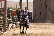 IMG_1592 