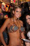 IMG_0582 