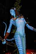 IMG_0646 