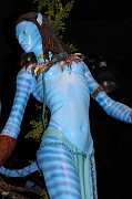 IMG_0647 