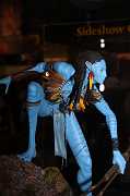 IMG_1705 