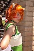 IMG_0652 