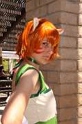 IMG_0654 