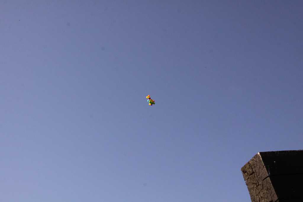 IMG_1562